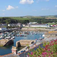 Special holiday discounted rates