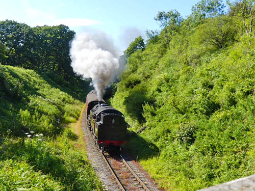 Steam train Pickering