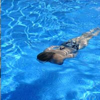 large holiday house with indoor swimming pool